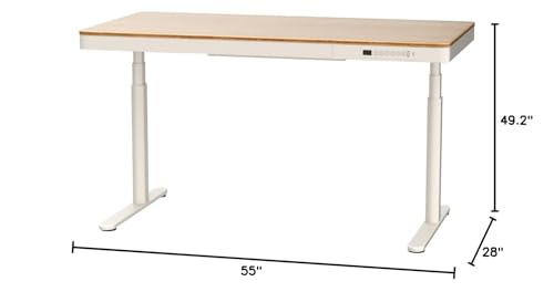 FLEXISPOT 55" Bamboo Standing Desk, Dual Motor 3 Stages Adjustable Height Electric Computer Workstation w/Wireless Charging, Drawer, Quick Install, 220lbs Capacity (Bamboo Tabletop + White Frame)