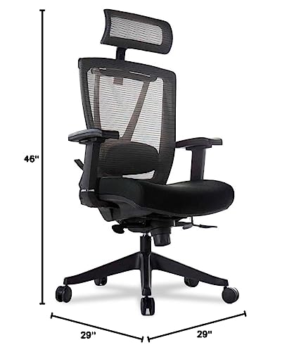 Autonomous Premium Ergonomic Office Chair for Computer or Gaming, with Wheels, Lumbar Support, Adjustable Seat, Headrest, and Armrests, Mesh Back, Medium, Full Black